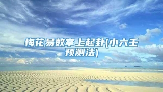 梅花易数掌上起卦(小六壬预测法)