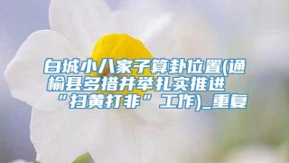 白城小八家子算卦位置(通榆县多措并举扎实推进“扫黄打非”工作)_重复