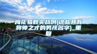 梅花易数实战例(这些具有将帅之才的男孩名字)_重复