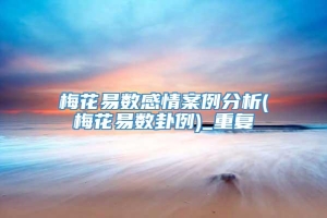 梅花易数感情案例分析(梅花易数卦例)_重复