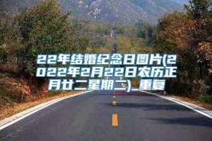 22年结婚纪念日图片(2022年2月22日农历正月廿二星期二)_重复