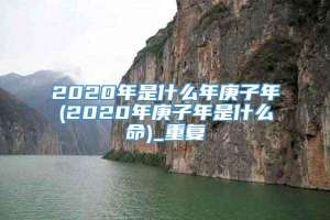 2020年是什么年庚子年(2020年庚子年是什么命)_重复