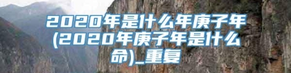 2020年是什么年庚子年(2020年庚子年是什么命)_重复