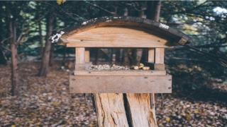都说四月初八生日不好(乍看简单容易)
