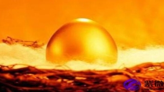 财运手掌纹(看手相横财人的手纹)