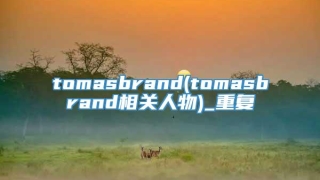tomasbrand(tomasbrand相关人物)_重复