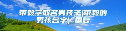 带毅字取名男孩子(带毅的男孩名字)_重复