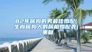 82年属狗的男最佳婚配(生肖属狗人的属相婚配表)_重复