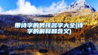 带诗字的男孩名字大全(诗字的解释和含义)