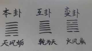 梅花易数马踏牡丹(梅花易数经典占例)