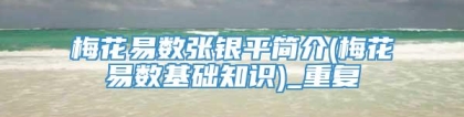 梅花易数张银平简介(梅花易数基础知识)_重复