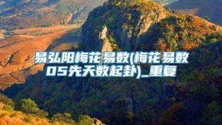 易弘阳梅花易数(梅花易数05先天数起卦)_重复