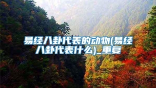 易经八卦代表的动物(易经八卦代表什么)_重复