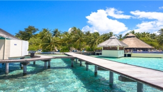 金木水火土五行查询表相生(五行金生水金木水火土的相生)