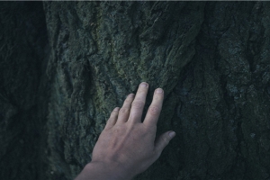 86年属虎男婚姻(12生肖女哪年哪月出生最容易嫁给好男人)