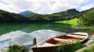 看手相命运线(简单手面相一看就会)