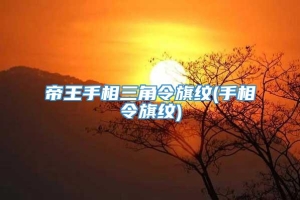 帝王手相三角令旗纹(手相令旗纹)