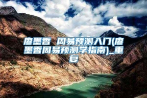 廖墨香 周易预测入门(廖墨香周易预测学指南)_重复