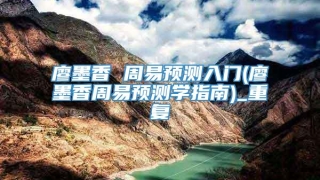 廖墨香 周易预测入门(廖墨香周易预测学指南)_重复