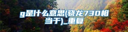 g是什么意思(骁龙730相当于)_重复