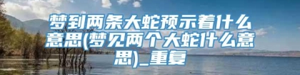 梦到两条大蛇预示着什么意思(梦见两个大蛇什么意思)_重复